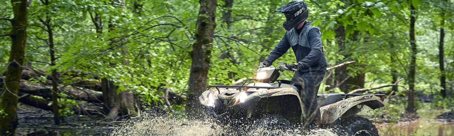 2020 Yamaha Grizzly EPS SE for sale in Powersports of Greenville, Greenville, South Carolina